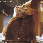 Marilou Kihn Profile Picture
