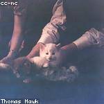 George Hane Profile Picture
