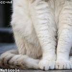 Elias Welch Profile Picture