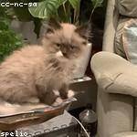 Sonny Murazik Profile Picture