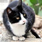 Courtney Sawayn Profile Picture