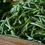 Mia Bosco Profile Picture