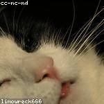 Sharon Ward Profile Picture
