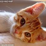 Francesca Lesch Profile Picture