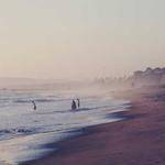 Domingo Connelly Profile Picture