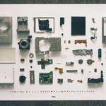 Amber Pacocha Profile Picture