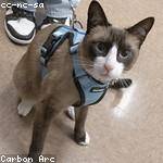 Uriah Effertz Profile Picture