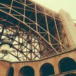 Marlon Bogisich Profile Picture