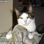 Marcella Lehner Profile Picture