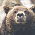 Rogers Beer Profile Picture
