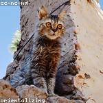 Myriam Nitzsche Profile Picture
