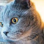 Dennis VonRueden Profile Picture