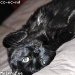 Laurine Hodkiewicz Profile Picture