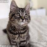 Peggie Wilkinson Profile Picture
