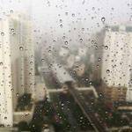 Erica Zboncak Profile Picture
