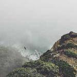 Maximus Jaskolski Profile Picture