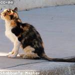 Verdie Goldner Profile Picture