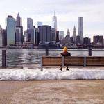 Brandi Haley Profile Picture