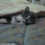 Merle Ullrich Profile Picture