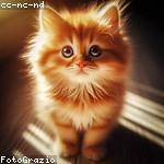 Marilou Mraz Profile Picture