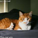 Mackenzie Schneider Profile Picture