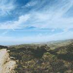 Liliana Adams Profile Picture