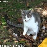 Allie Abernathy Profile Picture