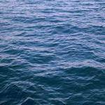 Pink Jerde Profile Picture