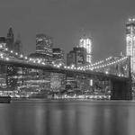 Anthony Steuber Profile Picture