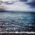 Brandi Schultz Profile Picture