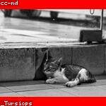 Brandyn Schmeler Profile Picture