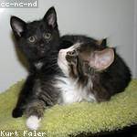 Nora Effertz Profile Picture