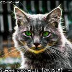 Samanta Stamm Profile Picture