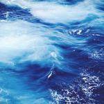 Elise Pfeffer Profile Picture