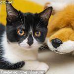 Faye King Profile Picture