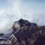 Carole Bogisich Profile Picture
