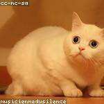 Yvette Berge Profile Picture
