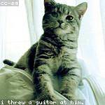 Herman Schinner Profile Picture