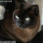 Reinhold Skiles Profile Picture