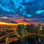 Tracy Pagac Profile Picture