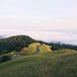 Jacky Bergstrom Profile Picture