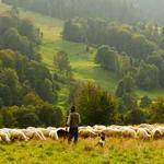 Glenda Langosh Profile Picture