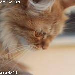 Felipa Crooks Profile Picture