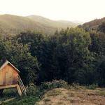 Lilly Schinner Profile Picture
