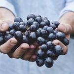 Delta Homenick Profile Picture