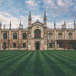 Blaze Runolfsdottir Profile Picture