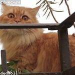 Andreane Kassulke Profile Picture