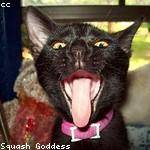 Arlene Halvorson Profile Picture