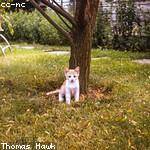 Zora Orn Profile Picture
