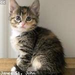 Alverta Jacobi Profile Picture